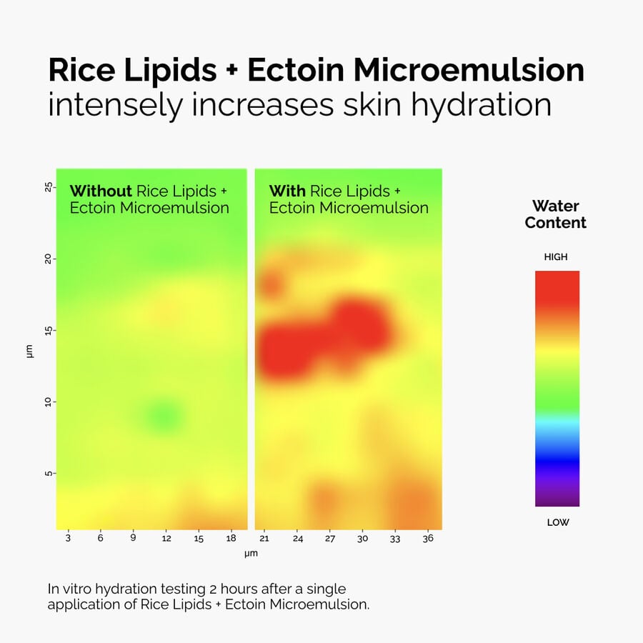 Lightweight Hydrating Moisturizer With Rice Lipids And 2% Ectoin